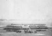 Vy af Kungl Västgöta Regemente och dess läger under Regementets möte å Axevalla hed 1863.