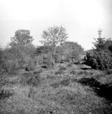 Landsantikvarie Gunnar Ullenius.