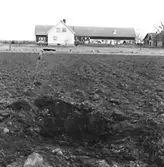 Kungsgårdens huvudbyggnad är byggd ca 1740 av sten från klostret. 
Den blev statligt byggnadsminne 1935.