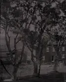 Troligen en av flygelbyggnaderna på Brogården, Skara Veterinärinrättning.