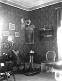 Album.
Albumet ev. en gåva från Karin Walter.

Postexpeditör Tekla Erika Charlotta Forssell. Född 1862 i Skara, död 1940 i Skara.
Dotter till Nils Edvard Forssell och Maria Forssell (f. Torin). 
Syster till Karl Bror Jacob Forssell och Emma Walter (f. Forssell).
Brogården=Nuvarande veterinärmuseét.