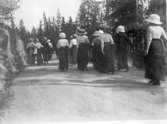 Folkskollärarseminariet, Skara 1908-1909.

Gerda Olsson, Önum, elev vid seminariet vid tiden, har samlat bilderna. (Album).

Gåva från Bertil Andersson  Lassagården, Vara. 18/3-78.