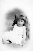 Tore Gustaf Appelgrens samling, Skövde.