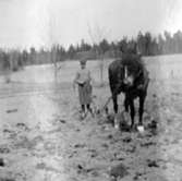 Borgen i Danderyd med omgivningar.
Agnes de Frumeries samling, Danderyd.