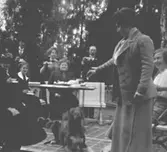 Bilder från Borgen i Danderyd.
Agnes de Frumeries samling, Danderyd.