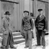 Skara Snickeri 1951.
Fr. v. fabrikör Johan Andersson och snickarna Arvid Berggren och Karl Pettersson.