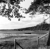 Skräddarmästare Carl G. Petterssons samling, Törestorp, Daretorp. Fotona är från slutet av 1800-talet till början av 1900-talet.