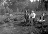 David Pettersson med damer i skogen i Törestorp.Skräddarmästare Carl G. Petterssons samling, Törestorp, Daretorp. Fotona är från slutet av 1800-talet till början av 1900-talet.
