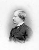 H. R. Hamilton år 1866.