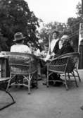 Hjalmar G. von Hall med fru och frk. Elsa Collvin.