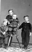 inv.nr. 89642:684. Har tillhört Anna och Gustav Barthelson.Bröderna Barthelson ca. år 1870.