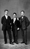 inv.nr. 86879.Fr.v. Yngve Oswaldt, Ernst Sjöstedt, Carl Löfgren. 