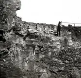 Alfred Stalin undersöker.