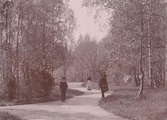 Stadsparken i Oskarshamn.