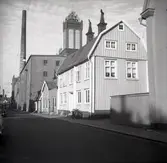 Bostadshus med träfasad och putsd fasad, ångkvarnen i bakgrunden.