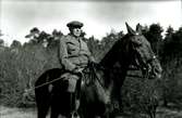 John Jeansson, konsul VD. Född 21/8 1865, död 1953. John red till han trillade av hästen i 82-års åldern. Hästen heter Palna.

Foto 1942-04-18.