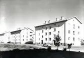 Foto 1949-07-02