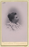 Palm, Ellen. Fröken. F. 1877 d. ?