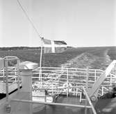 Fartygsleverans, den 12 juni 1965 på Gävle Varv. M/S Fauna. Troligtvis levererades fartyget från Gävle till Mariehamn på Åland.