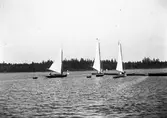Finska kappseglare vid Gävleseglingarna. Sommaren 1901
