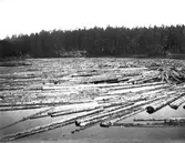 Säfsnäs, Dalarna. Den 2 augusti 1908