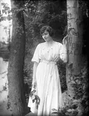 Initialer inristade i träd.