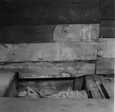 Före detta Spektakelhuset och Auktionskammaren
Södra Kungsgatan 7