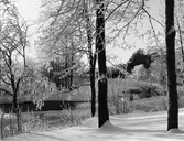 Gävle stad – Väster.
Vintermotiv från Stadsträdgården.
