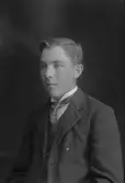 Gustaf Holmsten, Trollsmo, Hästmuren,