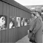 Söder bröderna utställning i Gamla Gefle. Maj 1969.