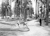 Minigolfbana i Boulognerskogen Gävle