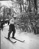 Björklund