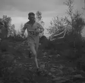 Å Gustafsson. Hamrångefjärden