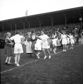 Svenska Flaggans dag. 1936