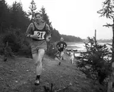 Hilleterrängen. 1939