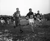 Hilleterrängen. 1939