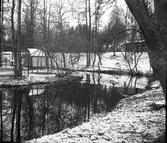 Höstmotiv.  År 1937