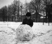 Höstmotiv.  År 1937