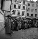 Konunga jubileet.
Torsdagen 16/6 1938