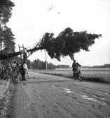 Tornado utanför Sandviken 29/7 1938