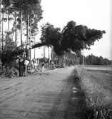 Tornado utanför Sandviken 29/7 1938