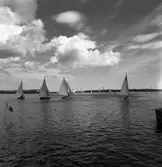 Segling start vid Houken, våren 1938