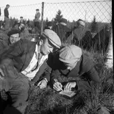 DM i orientering. 1938