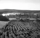 DM i orientering. 1938