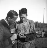 DM i orientering. 1938