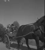 Kryckerståten i Överhärde. 1943