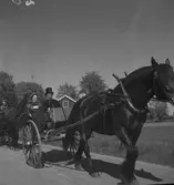 Kryckerståten i Överhärde. 1943