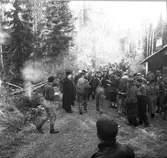 DM i orientering och budkavle. 1938