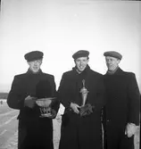 Koperationsstafetten på skidor. 1941