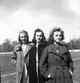 Skolungdomarnas olympiad. 1942

Flickgruppen till 